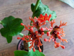 Ảnh bìa bài viết 712618