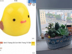 Ảnh bìa bài viết 712713
