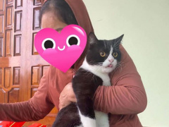 Ảnh bìa bài viết 712968