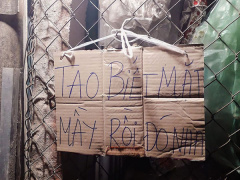 Ảnh bìa bài viết 712893