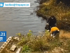 Ảnh bìa bài viết 713139