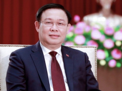 Ảnh bìa bài viết 713407