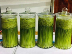 Ảnh bìa bài viết 713250