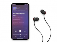 Ảnh bìa bài viết 713286