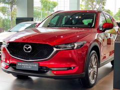 Ảnh bìa bài viết 713586