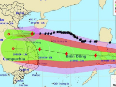 Ảnh bìa bài viết 713496