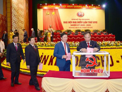 Ảnh bìa bài viết 713454