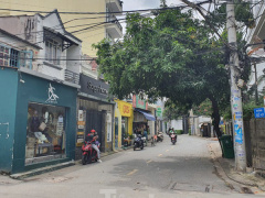 Ảnh bìa bài viết 713620