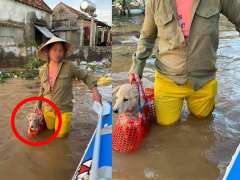 Ảnh bìa bài viết 713482