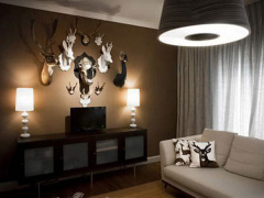 Ảnh bìa bài viết 713424