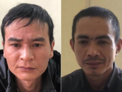 Ảnh bìa bài viết 713670
