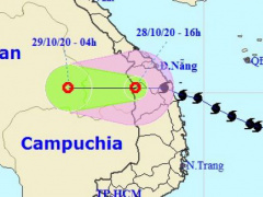 Ảnh bìa bài viết 713887