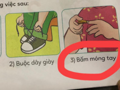 Ảnh bìa bài viết 713696