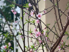 Ảnh bìa bài viết 714033