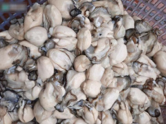 Ảnh bìa bài viết 714043