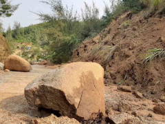 Ảnh bìa bài viết 714392