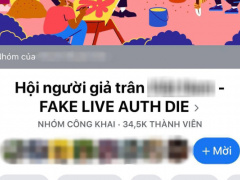 Ảnh bìa bài viết 714327