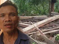 Ảnh bìa bài viết 714254