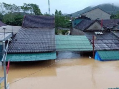 Ảnh bìa bài viết 714430