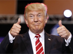 Ảnh bìa bài viết 714229