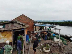 Ảnh bìa bài viết 714389