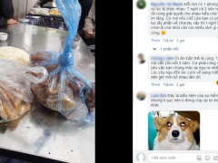 Ảnh bìa bài viết 714733