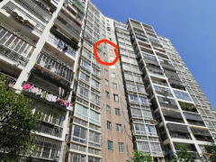 Ảnh bìa bài viết 714631