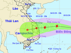 Ảnh bìa bài viết 714910