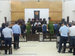 Ảnh bìa bài viết 715181