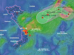Ảnh bìa bài viết 715782