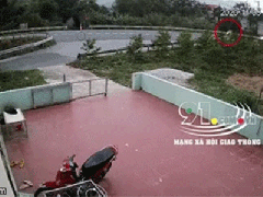Ảnh bìa bài viết 715898