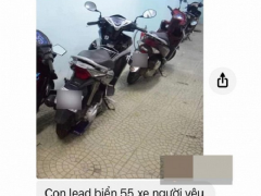 Ảnh bìa bài viết 716085