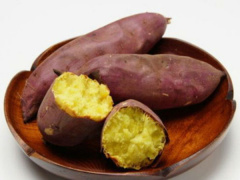 Ảnh bìa bài viết 716728
