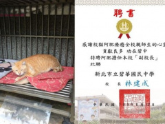Ảnh bìa bài viết 717447