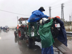 Ảnh bìa bài viết 717425
