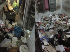 Ảnh bìa bài viết 717301