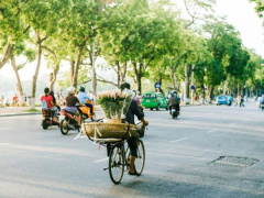 Ảnh bìa bài viết 717275