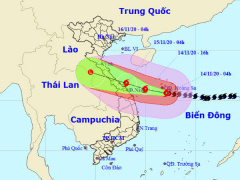 Ảnh bìa bài viết 717561