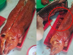 Ảnh bìa bài viết 717494