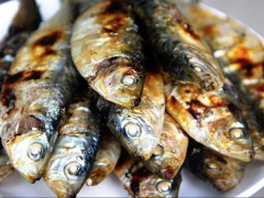Ảnh bìa bài viết 717655