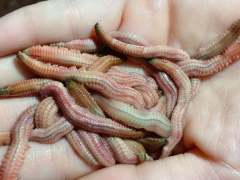 Ảnh bìa bài viết 717781