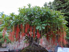 Ảnh bìa bài viết 717835