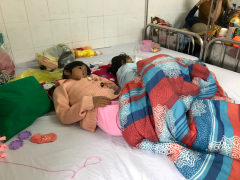 Ảnh bìa bài viết 718122