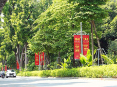 Ảnh bìa bài viết 718314