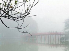 Ảnh bìa bài viết 718590