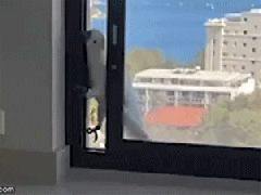 Ảnh bìa bài viết 718734