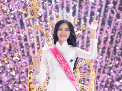 Ảnh bìa bài viết 719088