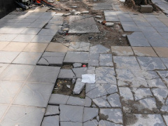 Ảnh bìa bài viết 719618