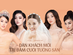 Ảnh bìa bài viết 720475