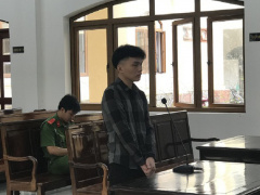 Ảnh bìa bài viết 720658